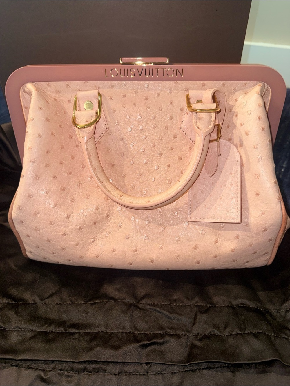 Louis Vuitton Pink Speedy Ostrich-Textured Top Handle Bag. Incredibly rare. - Picture 14 of 15